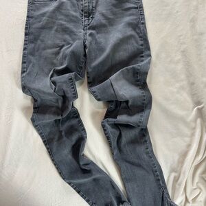 Joe's Jeans Women's Gray Skinny Jeans